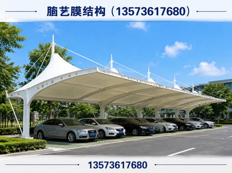奎文区山东膜结构展示图