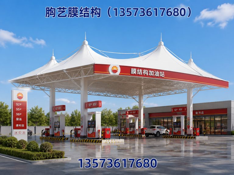 奎文区膜结构车棚展示图